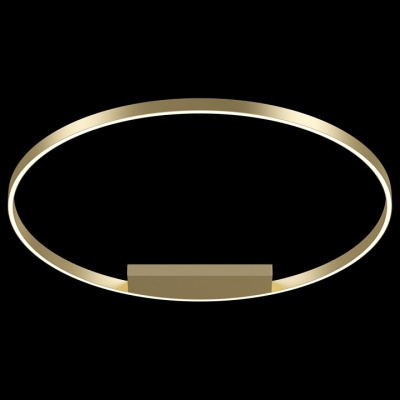 Накладной светильник Maytoni Rim MOD058CL-L65BS4K. Фото №2