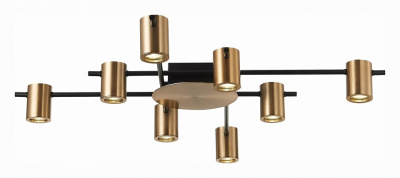 Потолочная люстра ST-Luce Veroli SL1207.402.08 фото Потолочная люстра ST-Luce Veroli SL1207.402.08. Фото №2