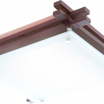 Накладной светильник Globo Edison 48324-2. Фото №2