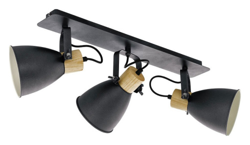 Спот Eglo Coswarth 99076. Фото №1