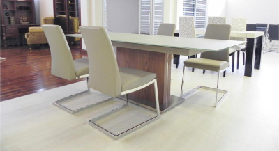 Стул ESF6101. Фото